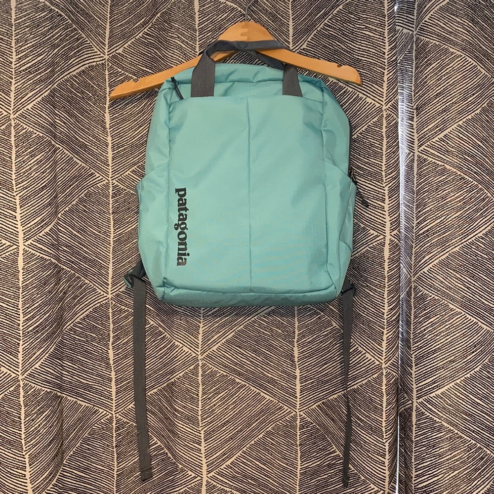 Patagonia Backpack